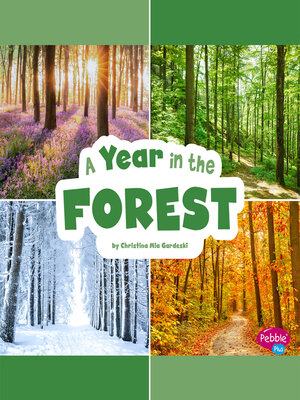 cover image of A Year in the Forest